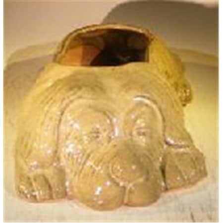 Parche 12.5 x 8 x 4 in. Dog Planter, Olive Green PA2806801